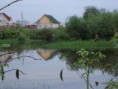 /album/fotogalereya-glavnaya-stranitsa/izobrazhenie-011-jpg1/